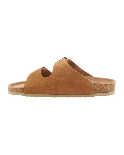 Colors Of California Brown Sliders for men