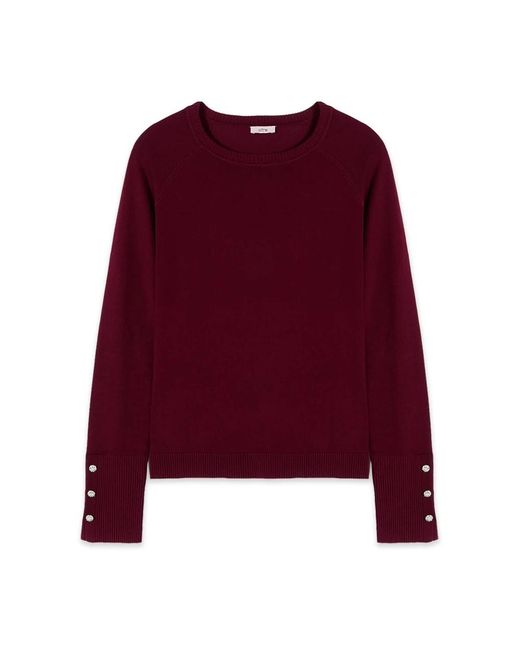 Oltre Sweatshirts in het Purple