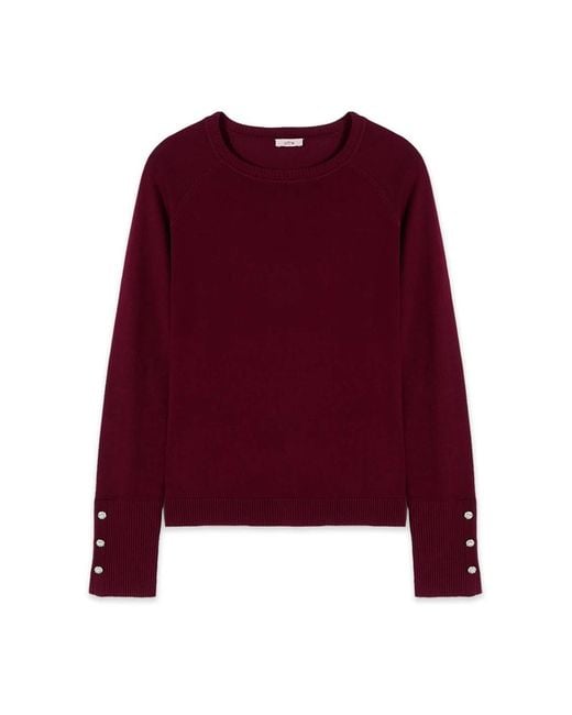 Oltre Sweatshirts in het Purple