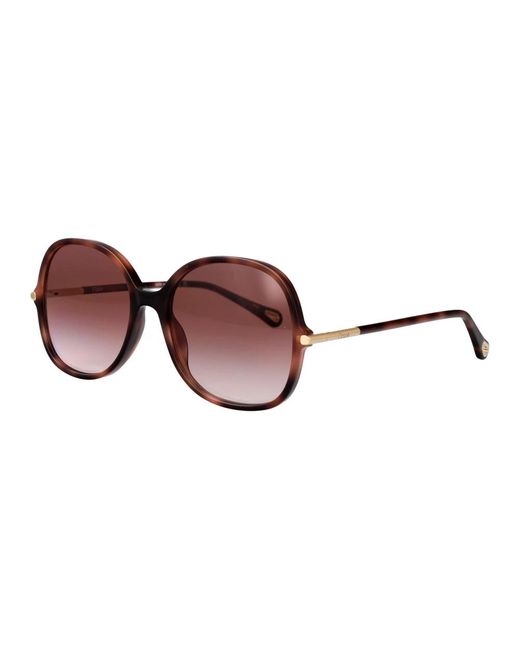 Chloé Brown Sunglasses