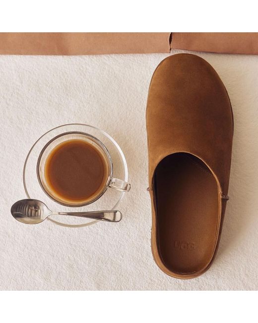 Ugg Brown Slippers