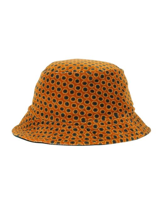 Hats Grevi de color Brown