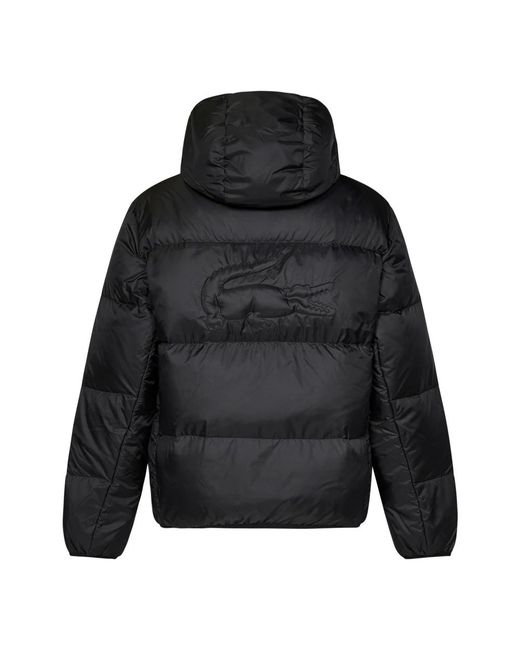 Lacoste Waterafstotende Gewatteerde Jas Met Capuchon in het Black voor heren