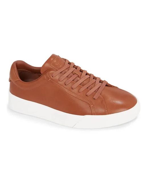 Tommy Hilfiger Brown Sneakers for men