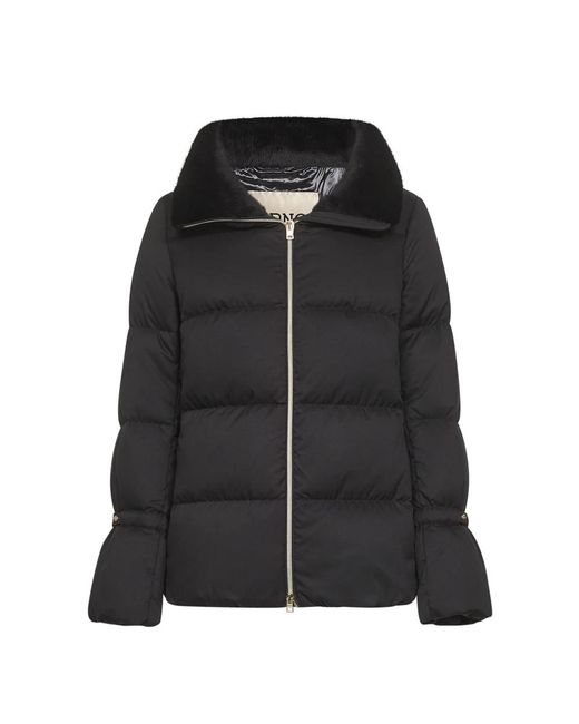 Winter Jackets Herno de color Black
