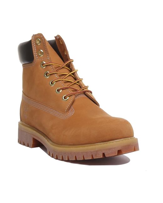 Timberland Klassische Wasserdichte Stiefeletten in Brown für Herren