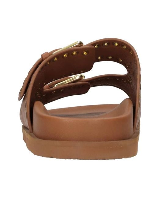 Elena Iachi Brown Sliders