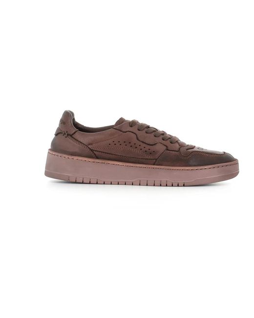 LEMARGO Brown Soft Leather Sneaker