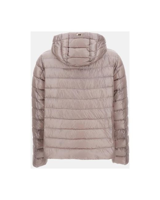 Down Jackets Herno en coloris Gray
