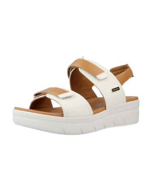 Stonefly Metallic Wedges
