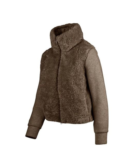 Winter Jackets Bomboogie de color Brown