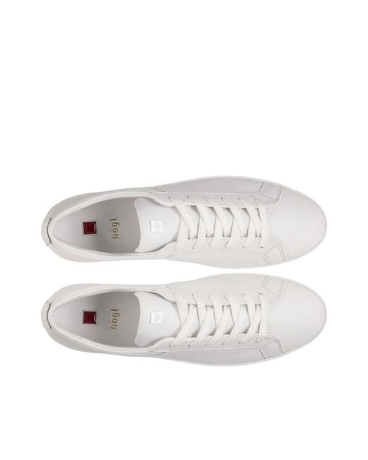 Högl White Sneakers
