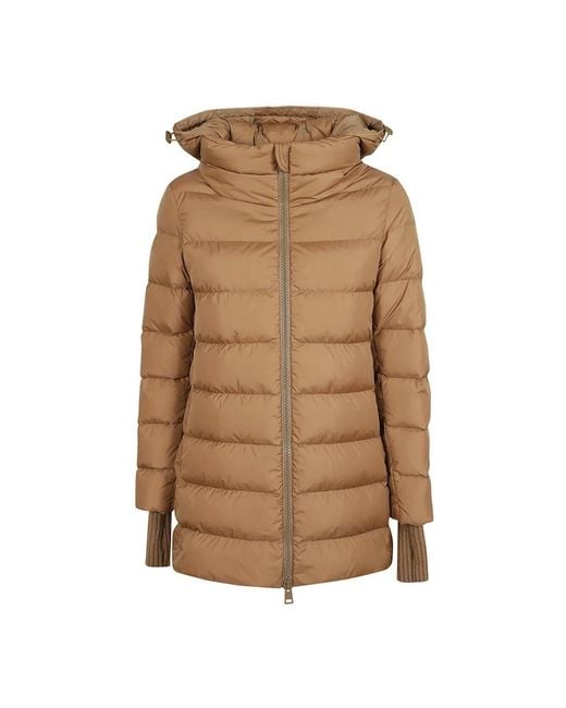 Down Jackets Herno en coloris Brown