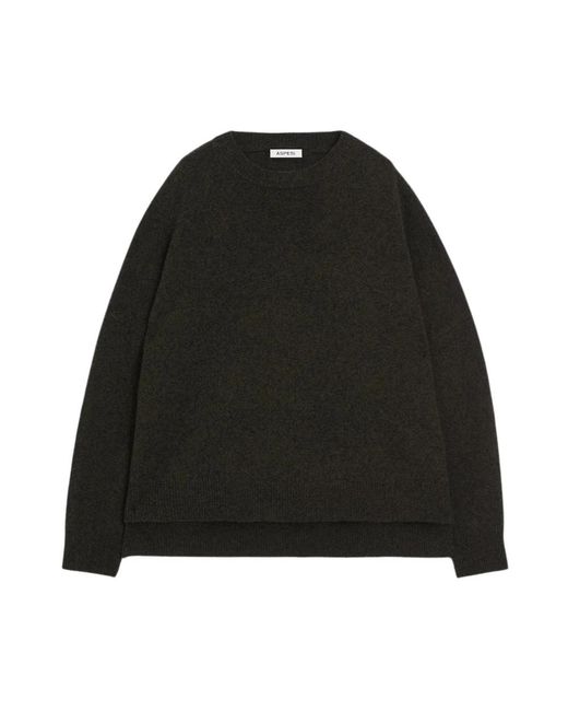 Aspesi M195 Sweater in het Black