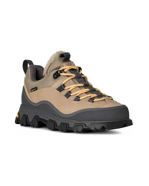 Sneakers Ugg en coloris Brown