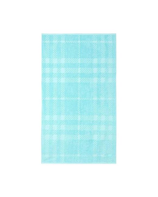 Burberry Blue Scarves