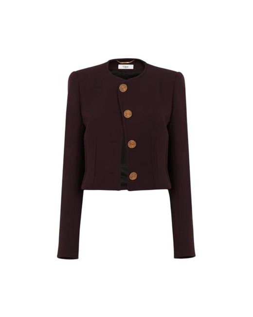 Chloé Purple Cardigans