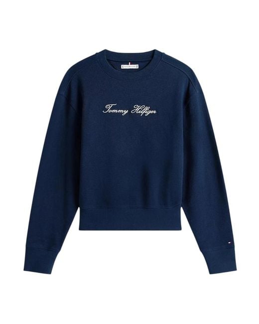 Tommy Hilfiger Sweatshirts in het Blue