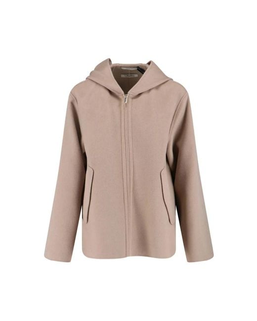 Max Mara Brown Roland Zip Hoodie