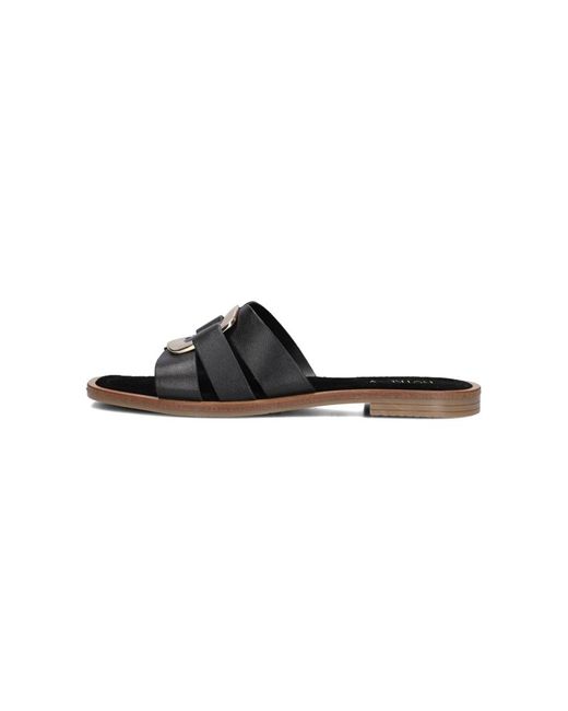 Notre-v Brown Slider