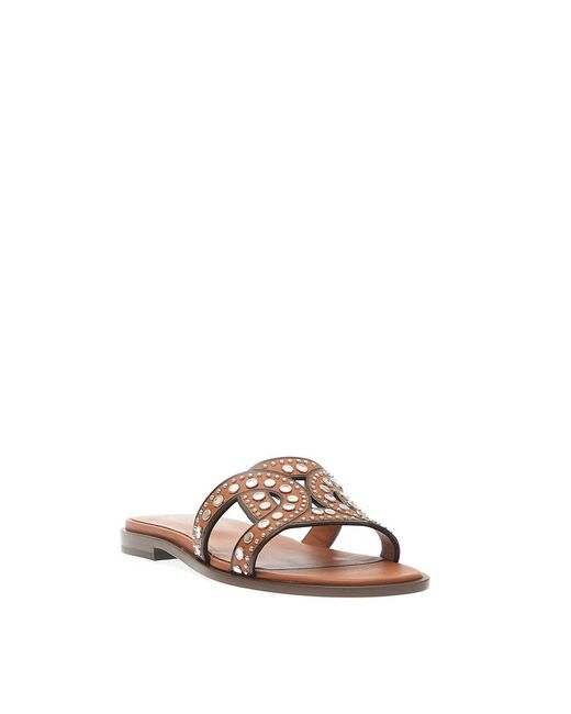 Tod's Brown Sliders