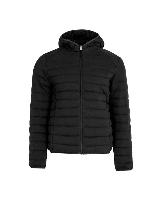 J.O.T.T Jassen ,Zwart ,Katoen Jacket Nico Jersey in het Black voor heren