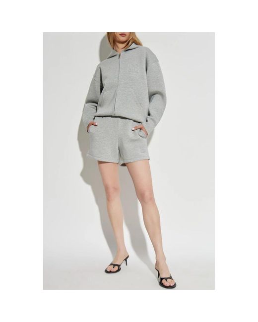 Anine Bing Gray Shorts Kam