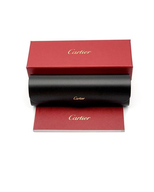 Cartier Vintage piloten sonnenbrille in Gray für Herren