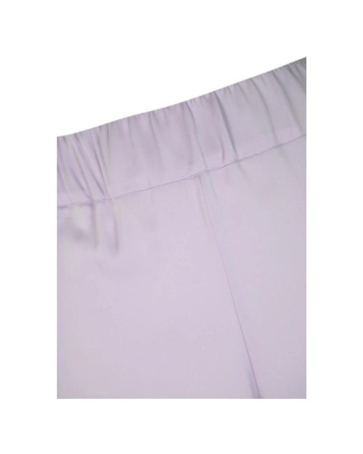 D.exterior Purple Wide trousers