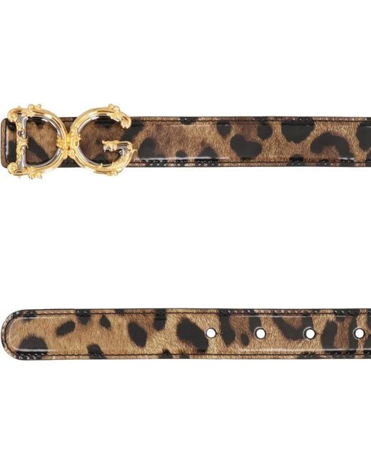 Belts di Dolce & Gabbana in Brown