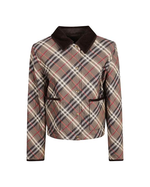 Burberry Brown Light Jackets