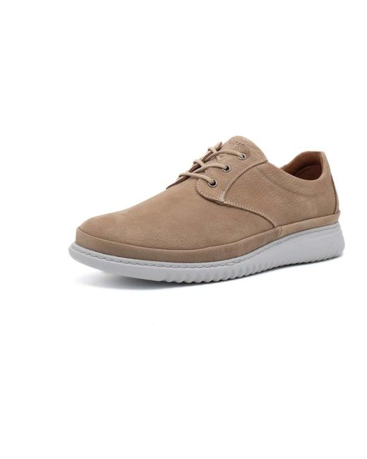 Shoes > flats > laced shoes Melluso pour homme en coloris Brown