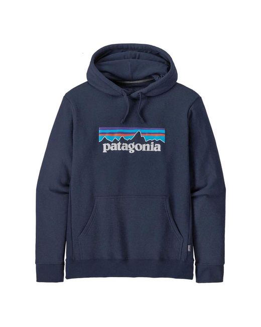 Patagonia Blue Hoodies for men