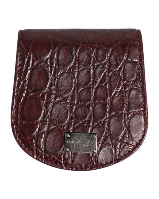 Wallets & Cardholders di Dolce & Gabbana in Brown