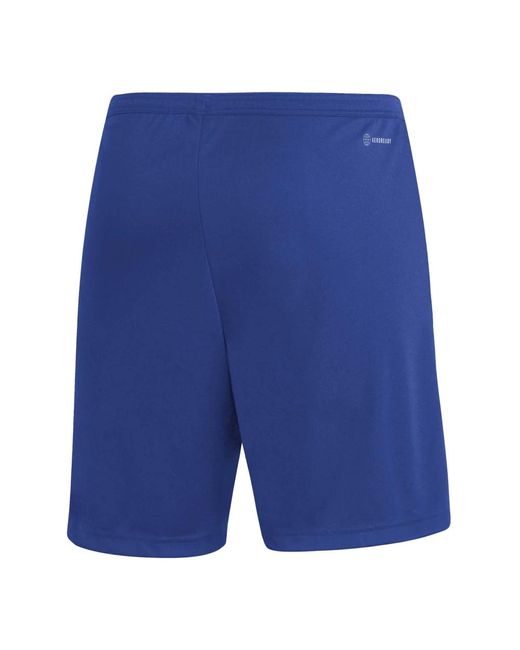 Adidas Shorts ent22 sho royblu in Blue für Herren