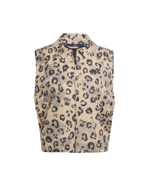 Adidas Natural W Aop Vest