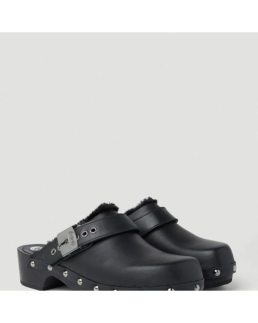 Scholl Black Verstopft