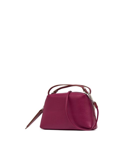 Gianni Chiarini Tassen ,Paars ,Leer Alifa Handtas in het Purple