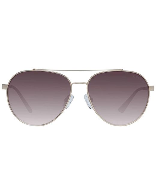Accessories > sunglasses Guess en coloris Purple