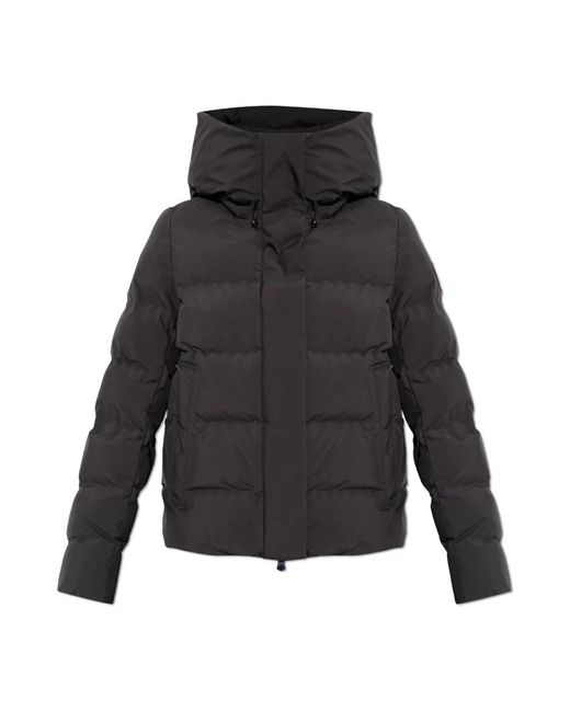 Save The Duck Winter Jackets in het Gray