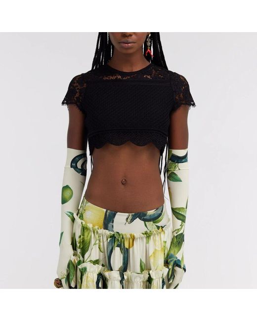 Roberto Cavalli Black Spitzen-Crop-Top Eleganter Stil