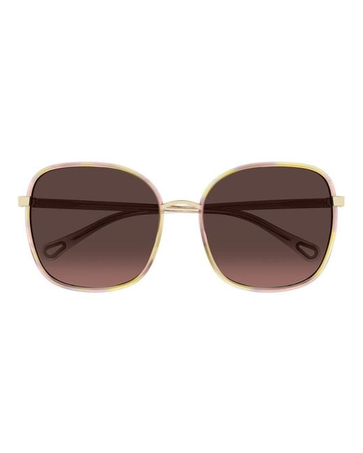 Chloé Brown Sunglasses