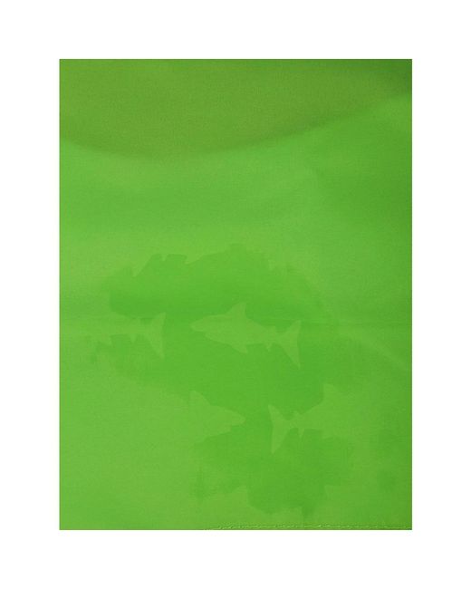 Mc2 Saint Barth Farbwechselnde bademode in Green für Herren