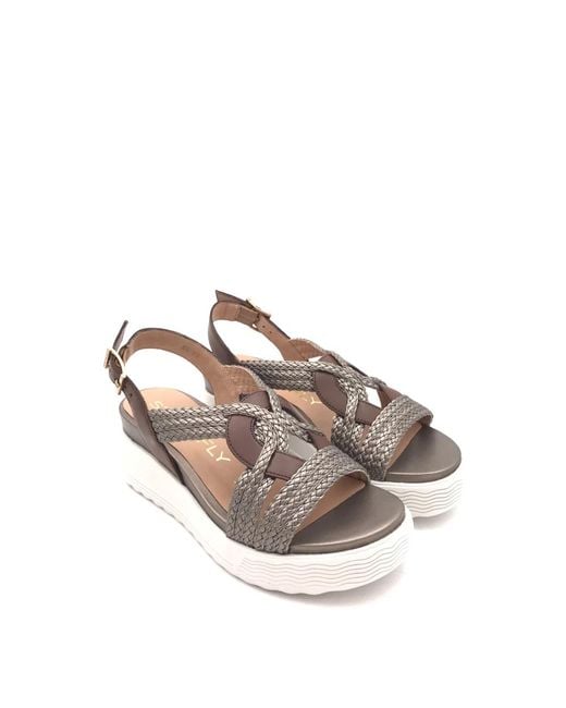 Wedges Stonefly de color Gray