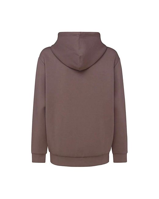 Calvin Klein Brown Hoodies