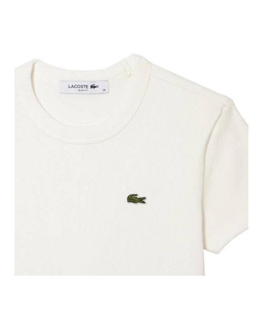 Lacoste White T-Shirts