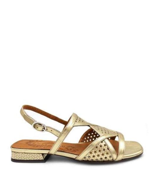 Chie Mihara Natural Goldene leder sandalen mit schnalle