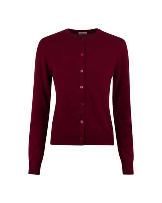 Stenstroms Cashmere Knitwear in het Purple