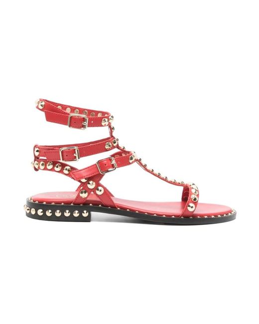 Flat Sandals di Ash in Pink