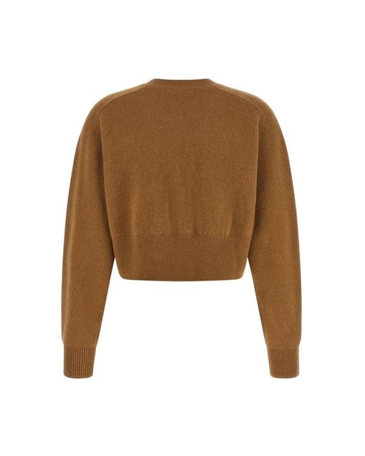 Elisabetta Franchi Brown Cardigans